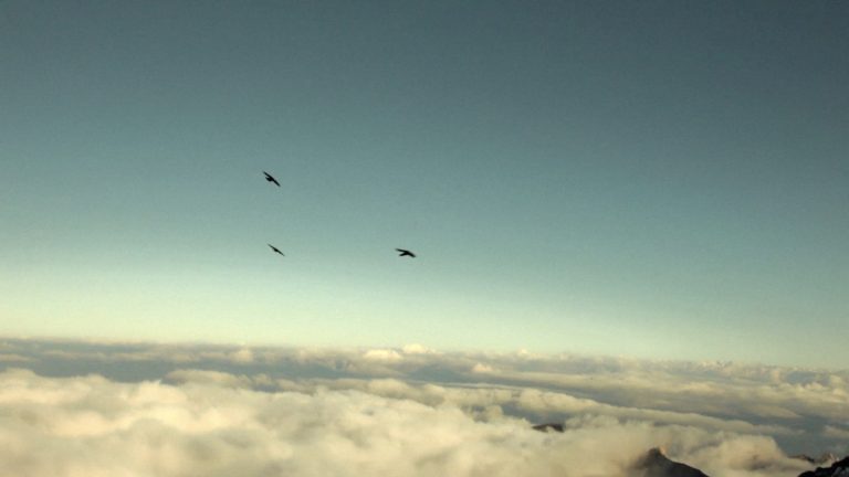 My_Grandpas_Garden_Thumbnail_2