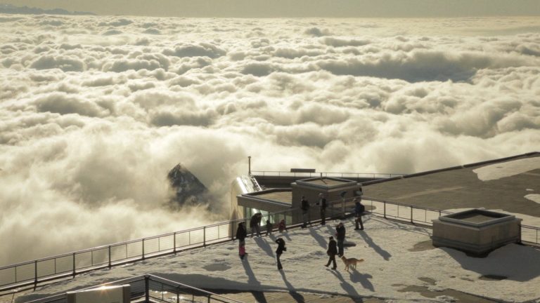 My_Grandpas_Garden_Thumbnail_1